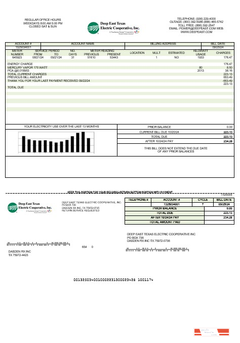 USA Deep East Texas Electric business utility bill template in Word and PDF formats